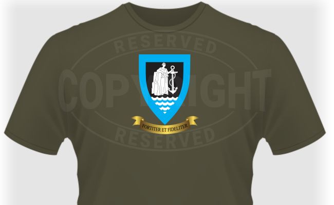 1 SACC Battalion T-shirt: ITEE07