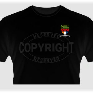 2 SAI T-Shirt: ITEE-10